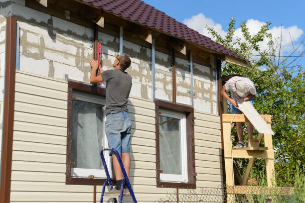 Best Fascia and Soffit Installation  in Vernon, AL