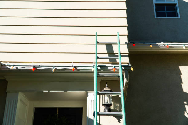 Best Steel Siding Installation  in Vernon, AL