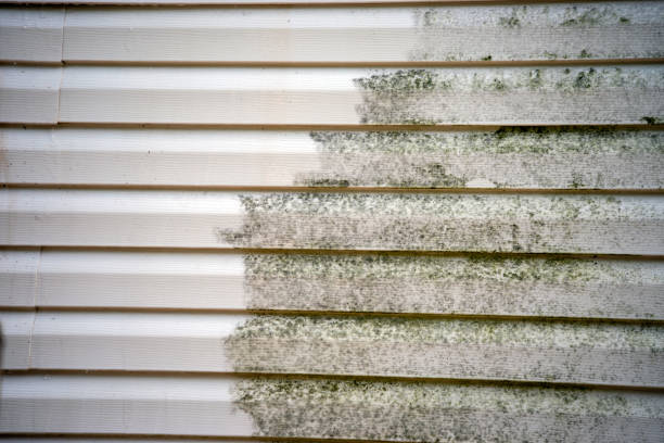 Best Brick Veneer Siding  in Vernon, AL