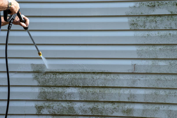 Affordable siding repair and maintenance services in Vernon, AL