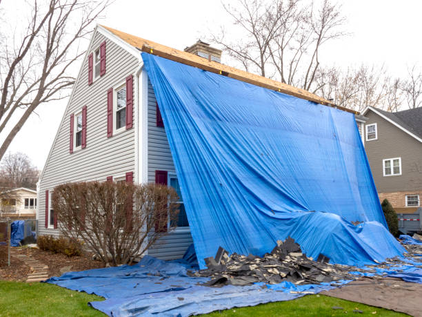 Siding Removal and Disposal in Vernon, AL